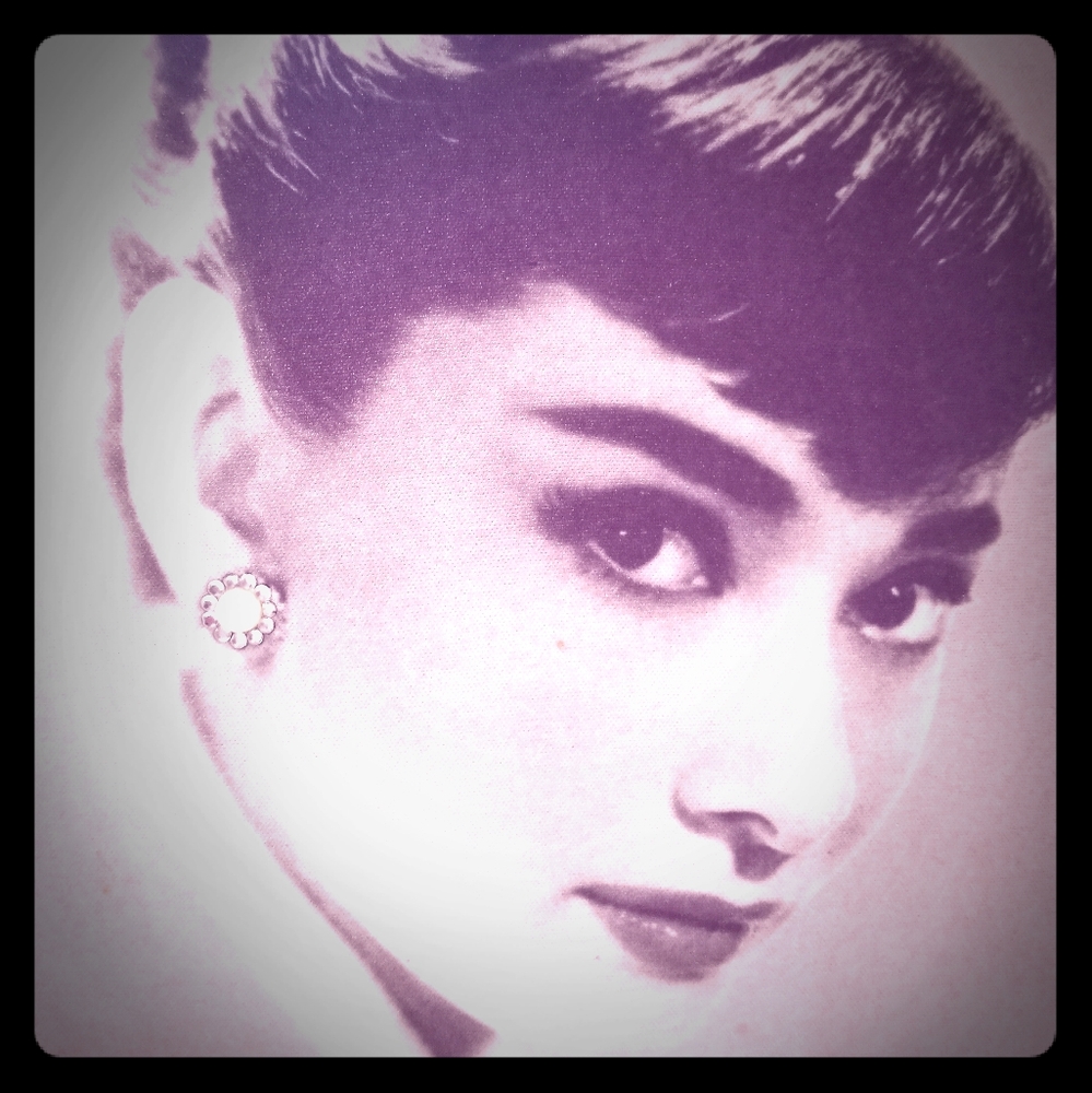 NWT- Audrey Hepurn puse/ shoulder bag